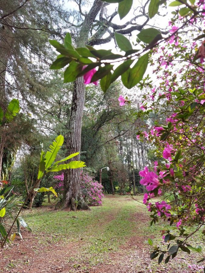 Oasis Bed And Breakfast Puerto Iguazú Kültér fotó