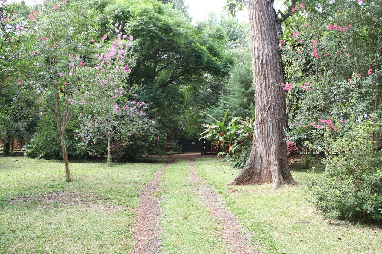 Oasis Bed And Breakfast Puerto Iguazú Kültér fotó